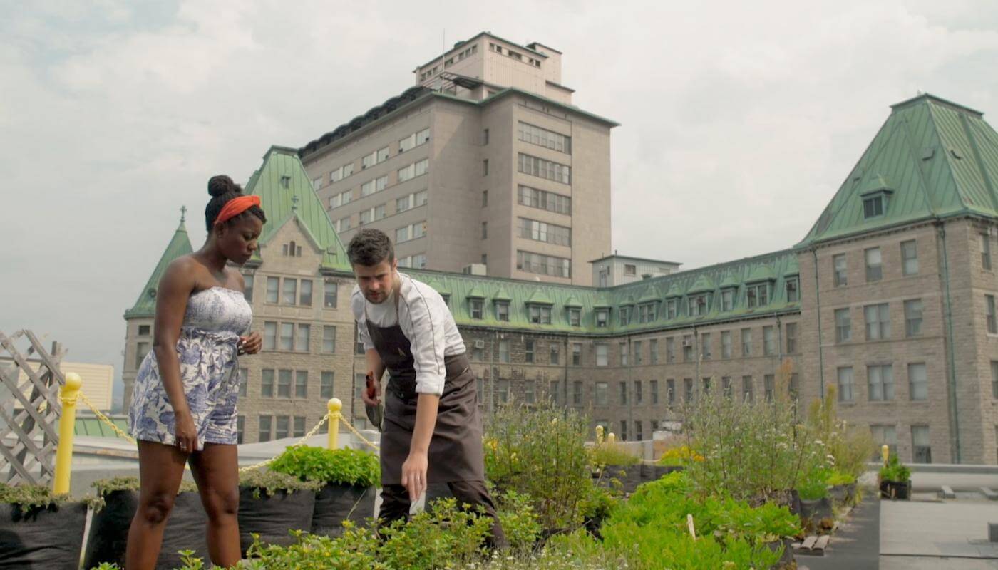 Oneika is on a homegrown rooftop garden with Chef Arnaud Marchand