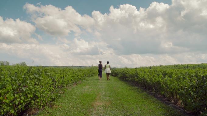 Oneika is walking with Anne in a blackcurrant field at Cassis Monna & Filles