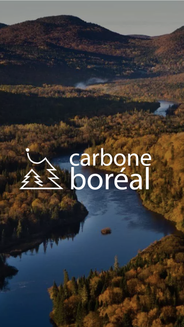 Carbone boréal