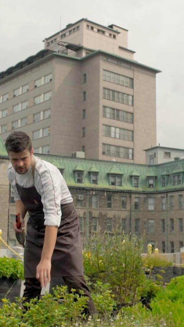Oneika is on a homegrown rooftop garden with Chef Arnaud Marchand