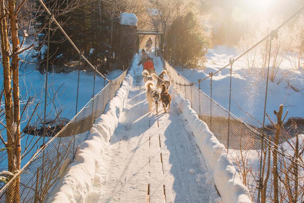 People in dog sleds cross on a suspension bridge over a river.
