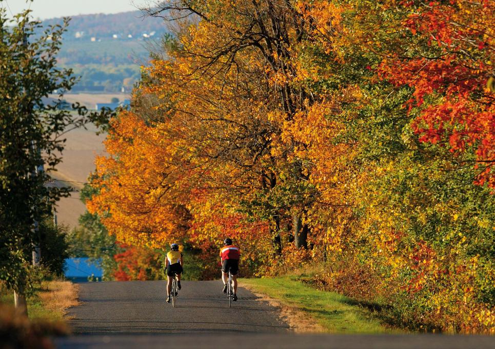 Cyclists in autumn