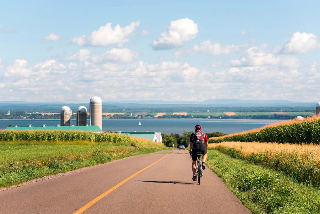 Un cycliste circule à vélo sur une route déserte qui longe des champs à l'Ile d'Orleans. 