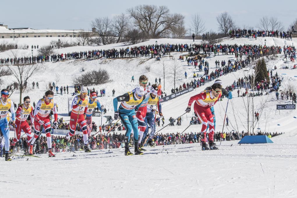 Coupe du monde FIS de ski de fond 