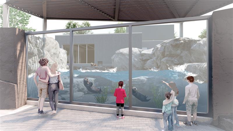 Aquarium maquette Louphoque