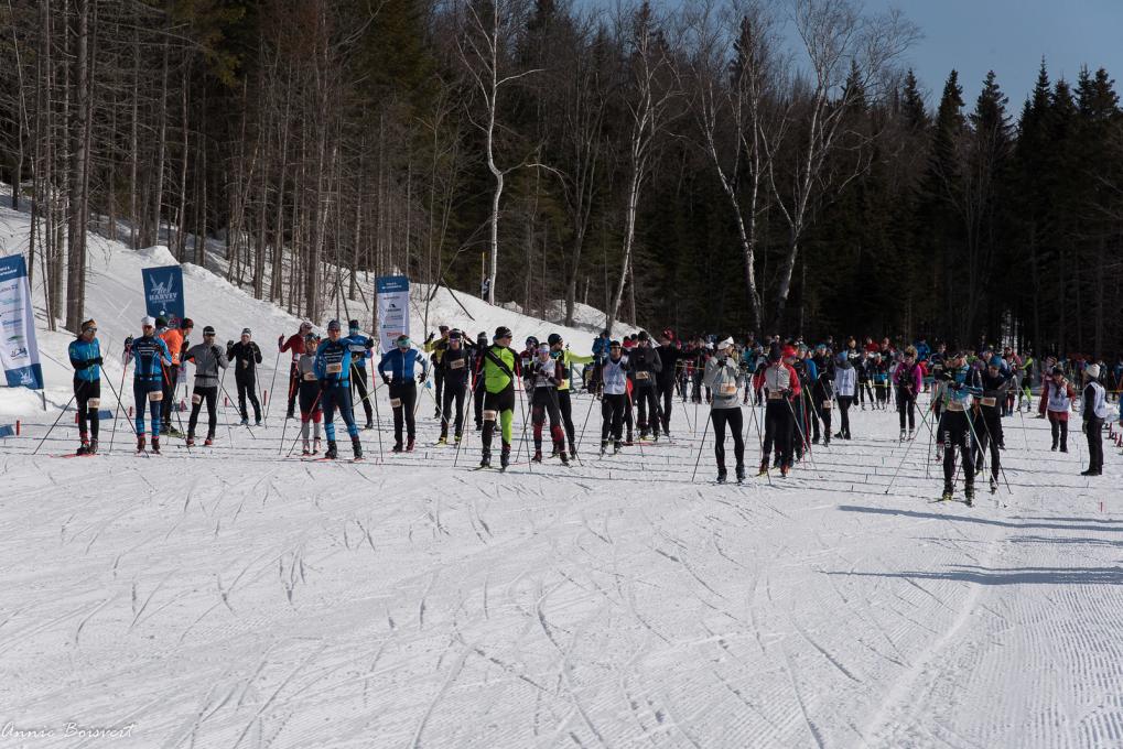 Classique Alex Harvey