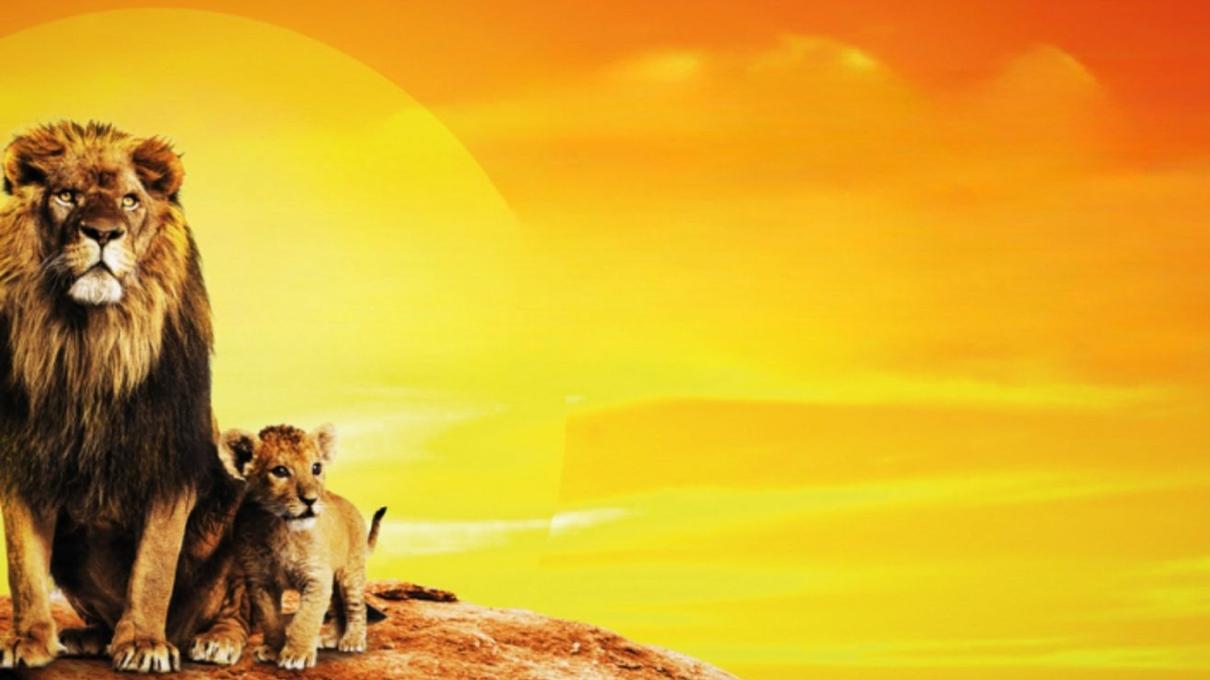 Le Roi Lion – En concert