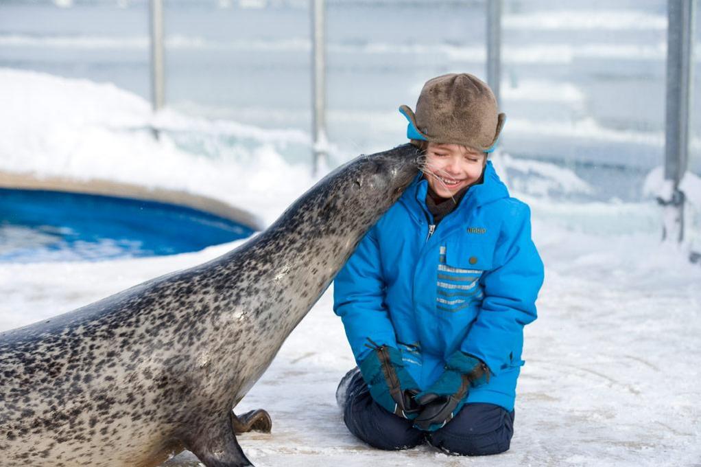 Enfant et un phoque à l'Aquarium du Québec