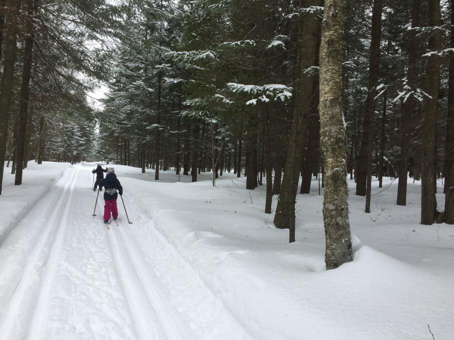 Ski de fond à la Base de plein air de Sainte-Foy