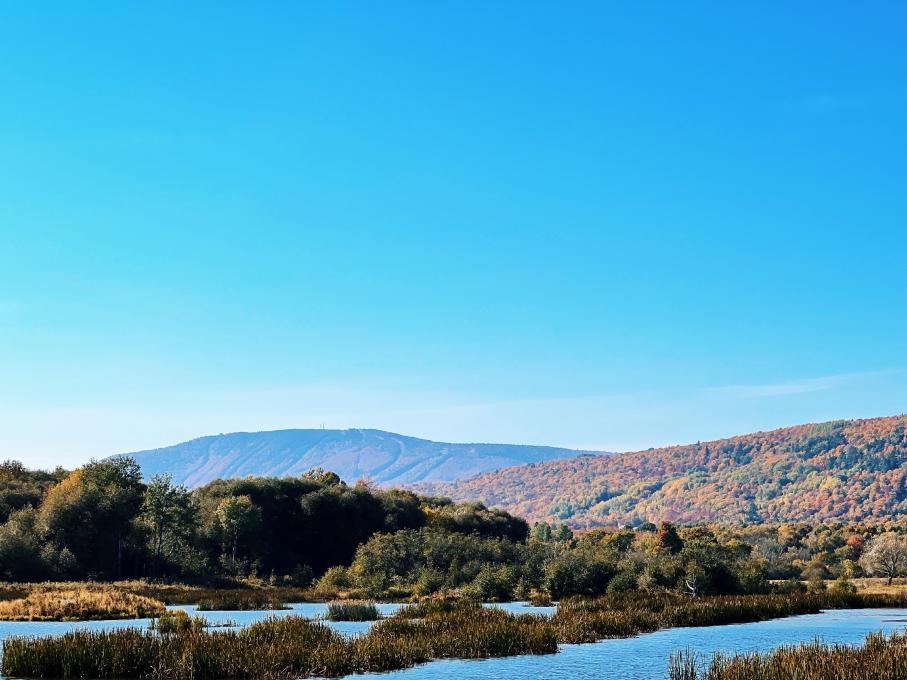 Cap-Tourmente en automne
