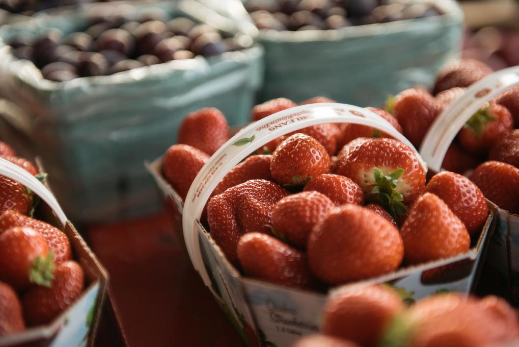 Paniers de fraises à la Ferme Laval Gagnon
