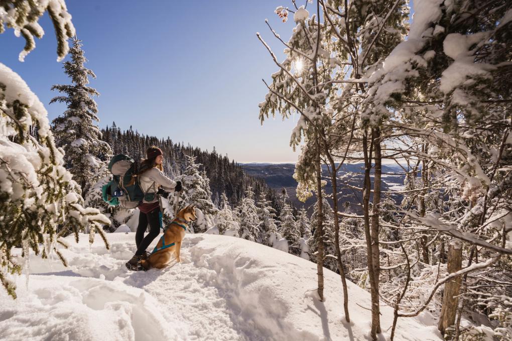 Femme avec un chien en haut d'une montagne en randonnée hivernale à la Vallée Bras-du-Nord