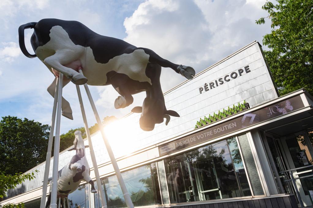  La halte culturelle du Périscope