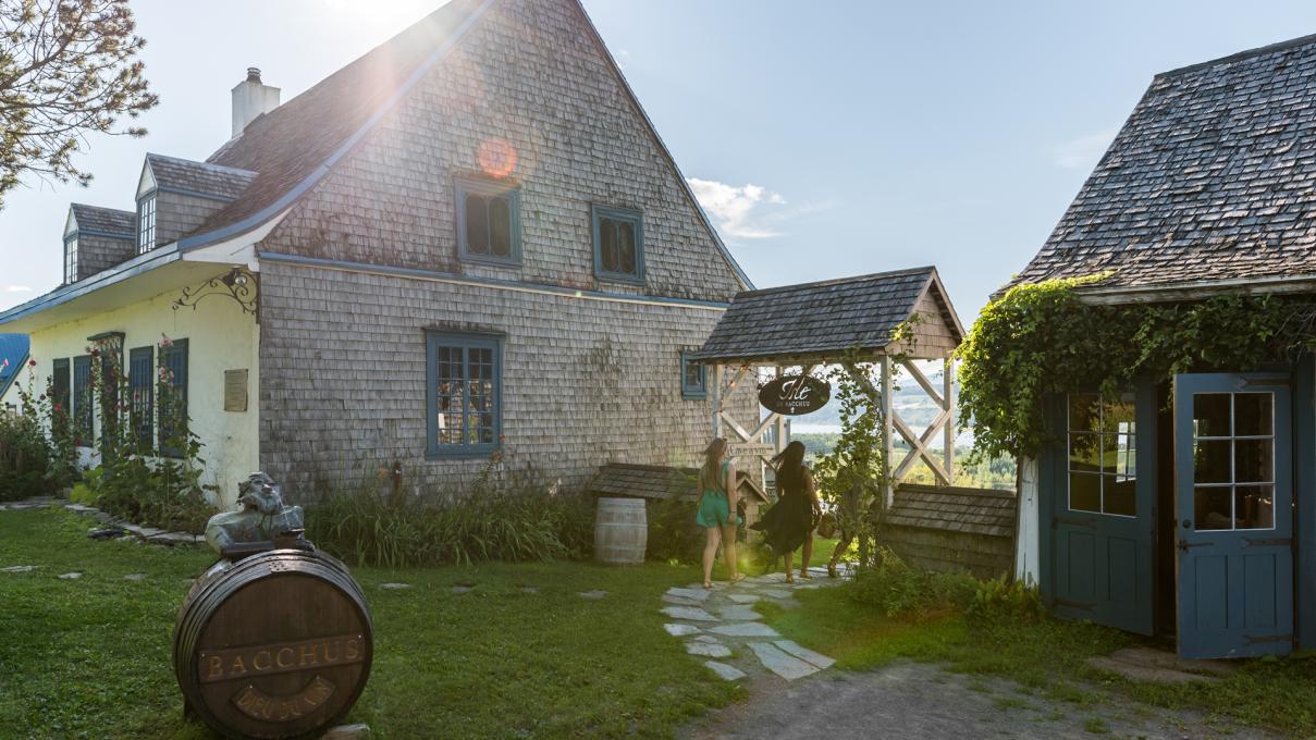 The Isle de Bacchus vineyard on Île d'Orléans welcomes visitors.
