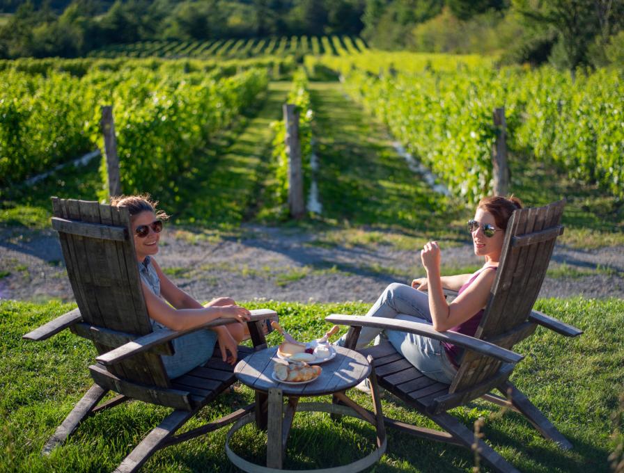 2 filles en pique-nique dans un vignoble