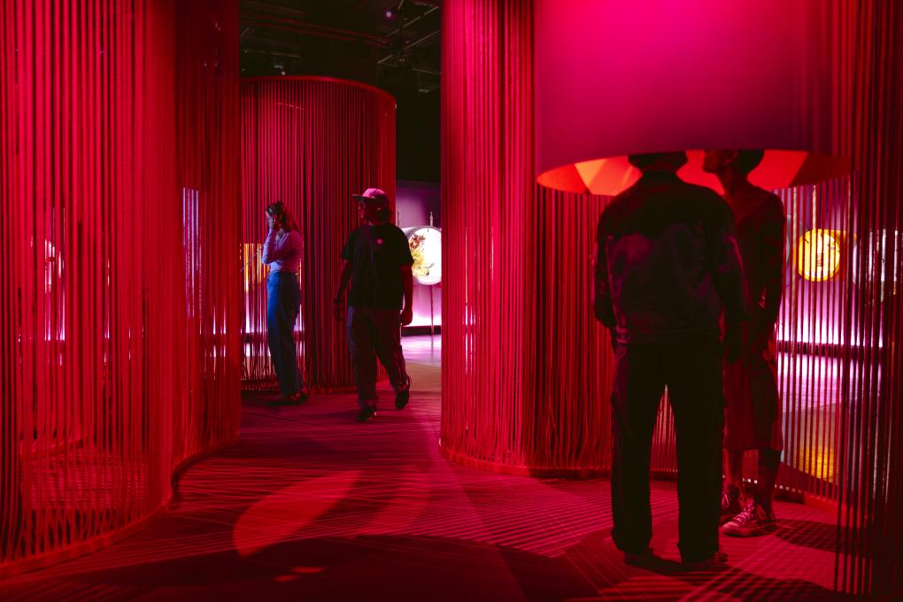 Exposition Plaisirs