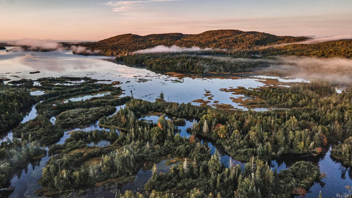 Vue aérienne du Marais du Nord en automne 