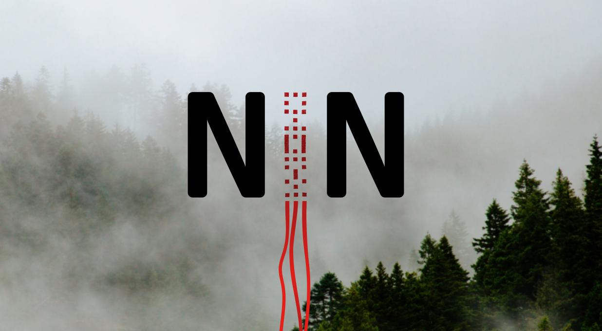 NIN