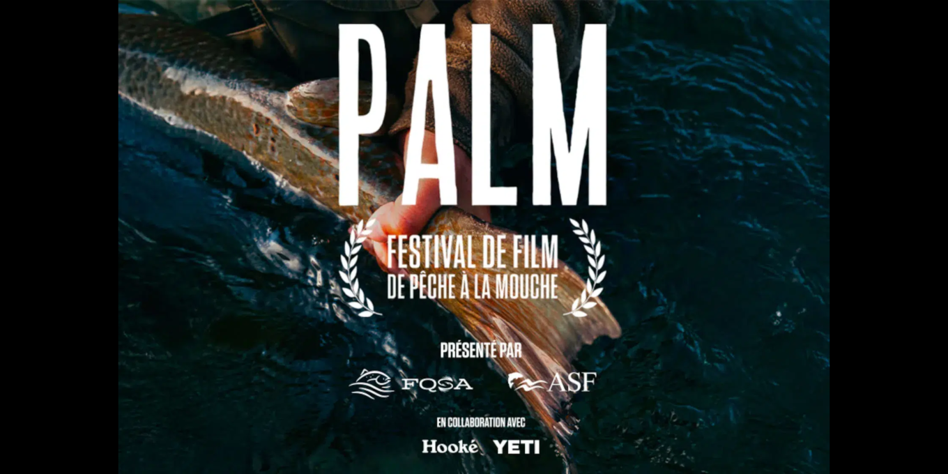 Festival PALM 2026