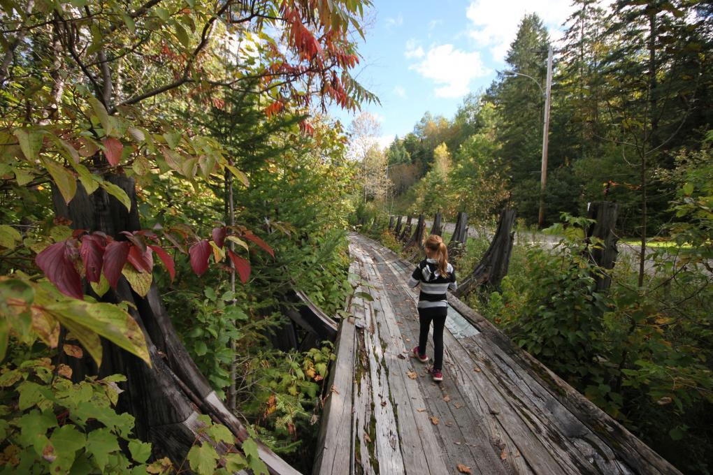 Jeune fille qui marche l'automne au Parc naturel régional Portneuf 