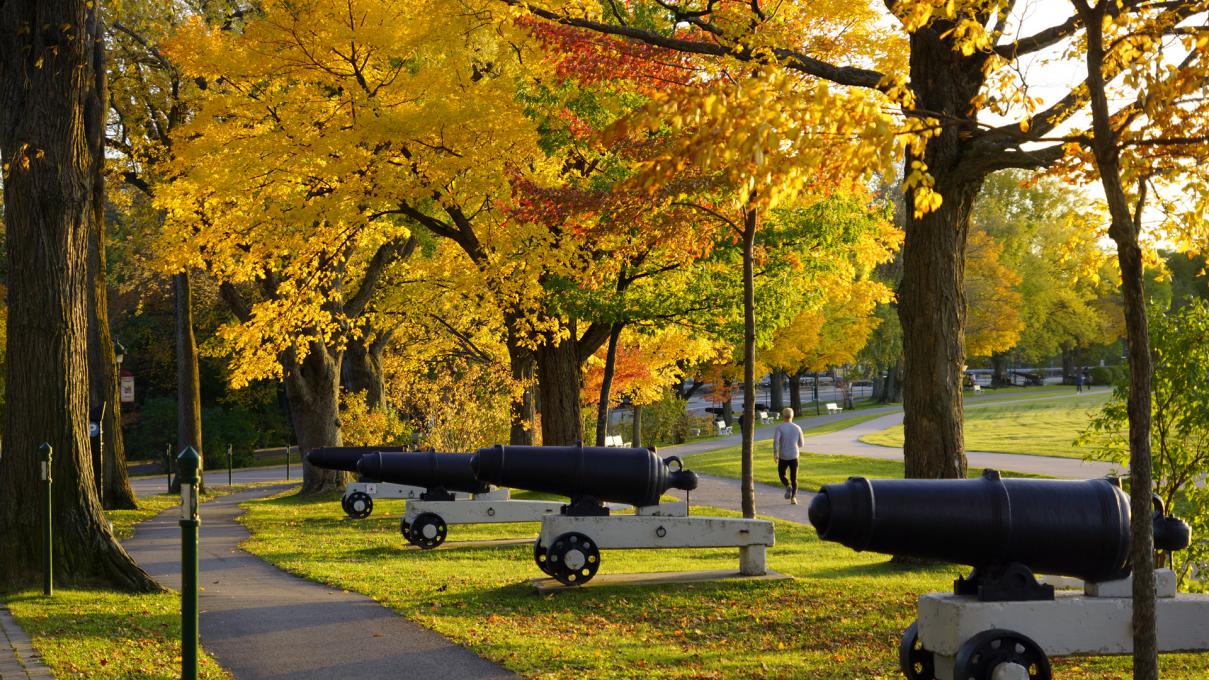Cannons on the Plains of Abraham