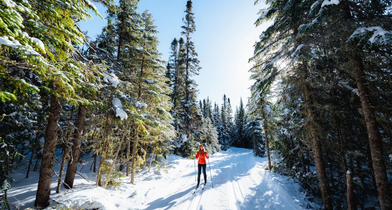 Ski de fond au Camp Mercier