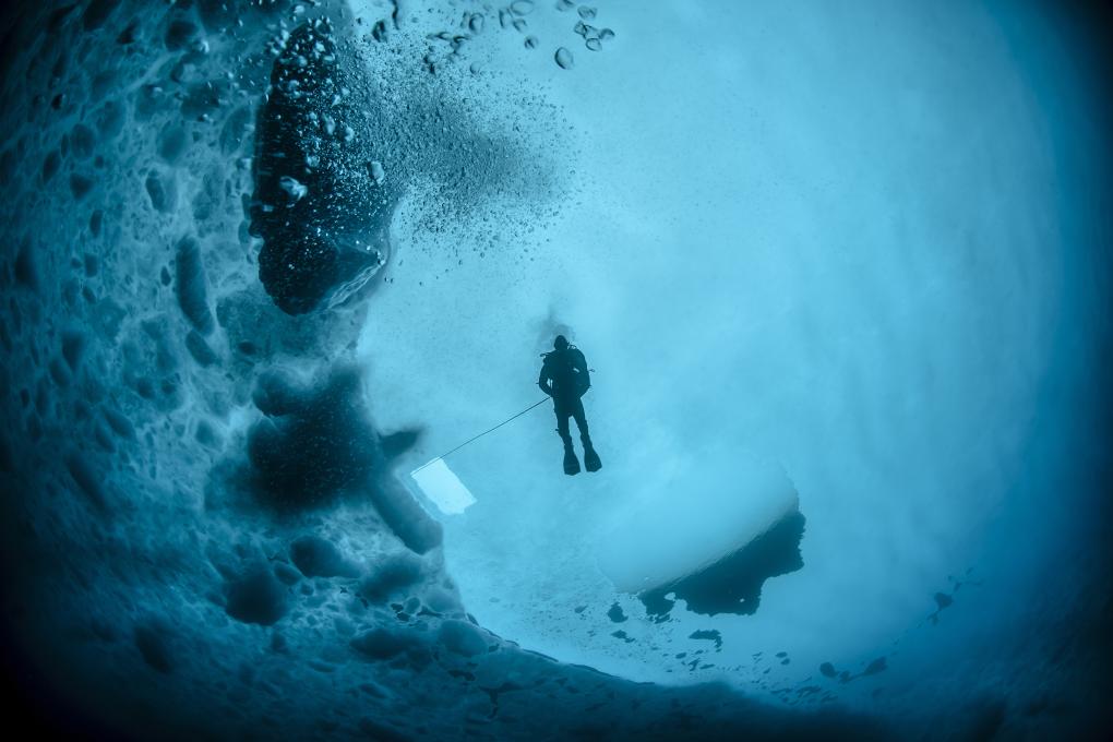 Sous les glaces arctiques