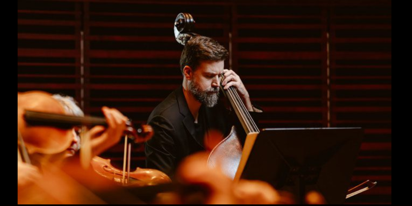 Toute la force des cordes