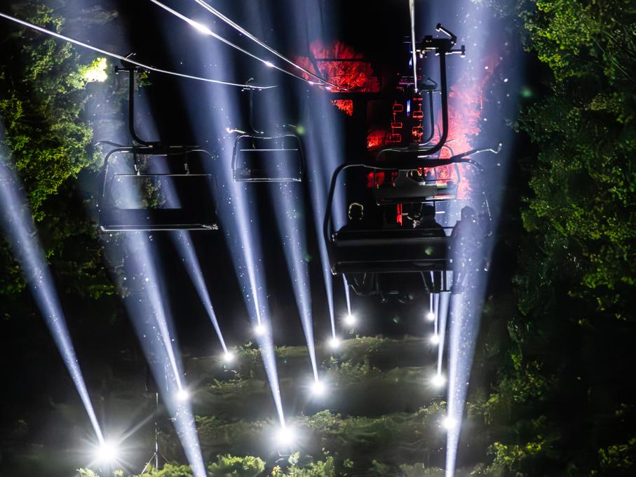 Oiseau mécanique Massif de Charlevoix