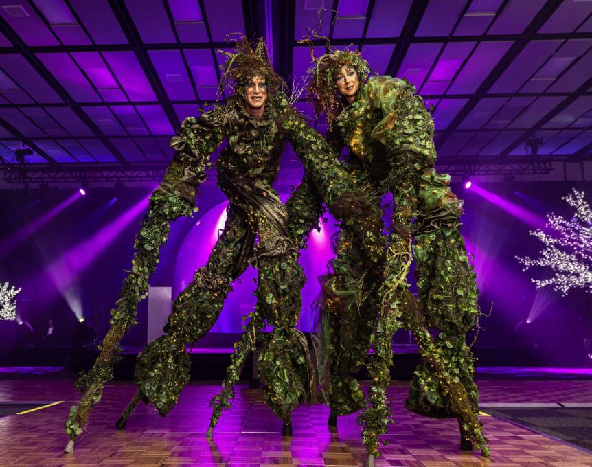 MysterAct - Échassiers vignes