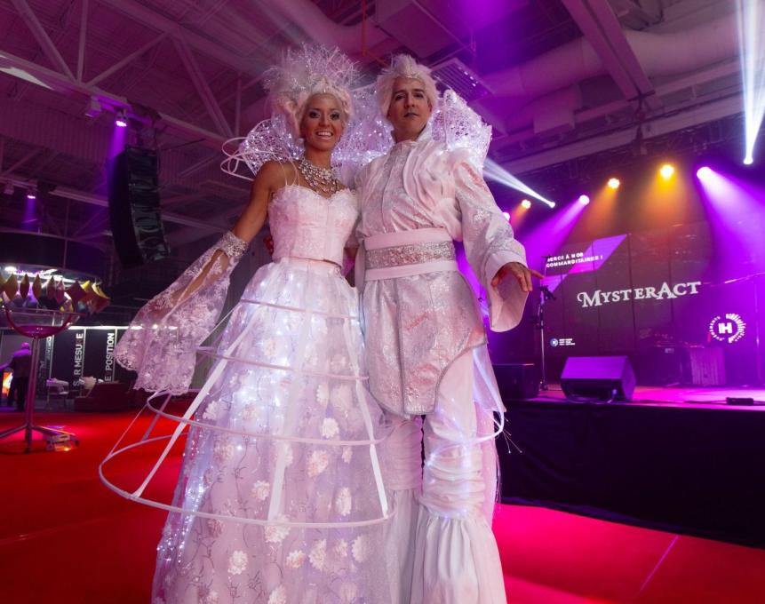 MysterAct - Échassiers