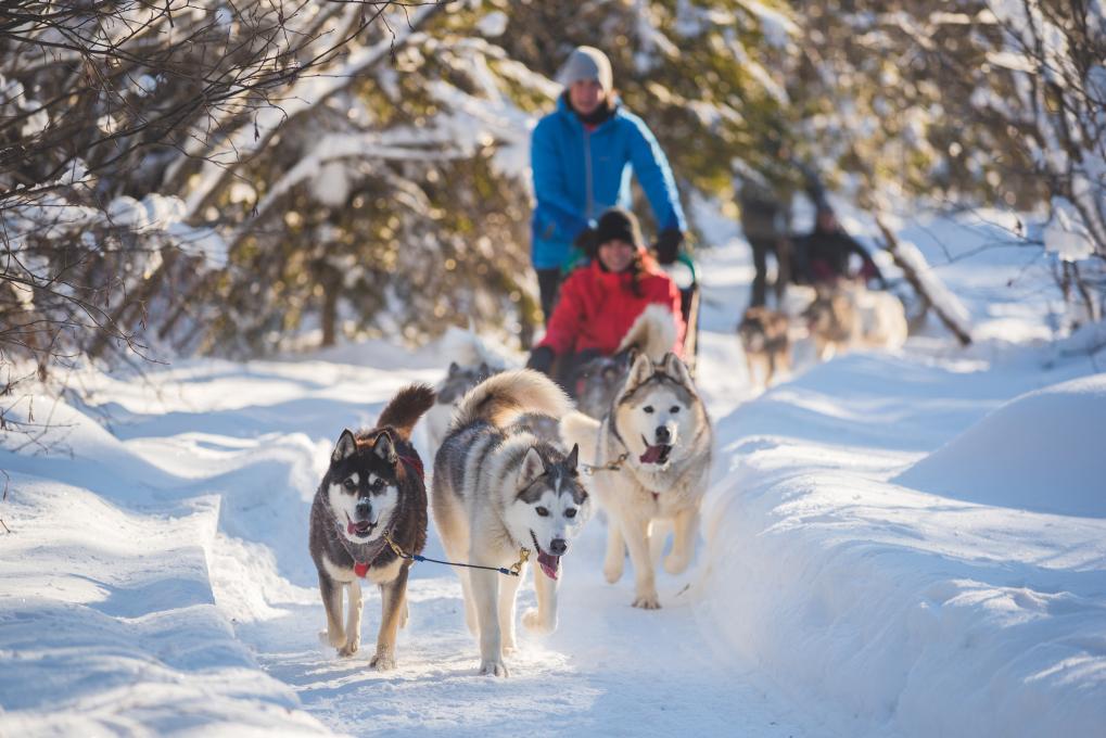 Global Tourisme - Duchesnay