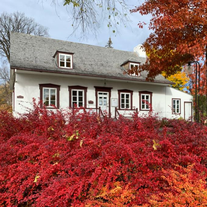 Trait-Carré-Maison Ancestrale automne