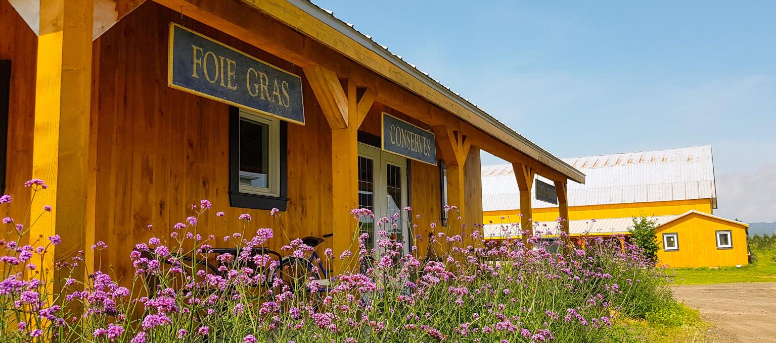 La ferme Québec-Oies - La boutique
