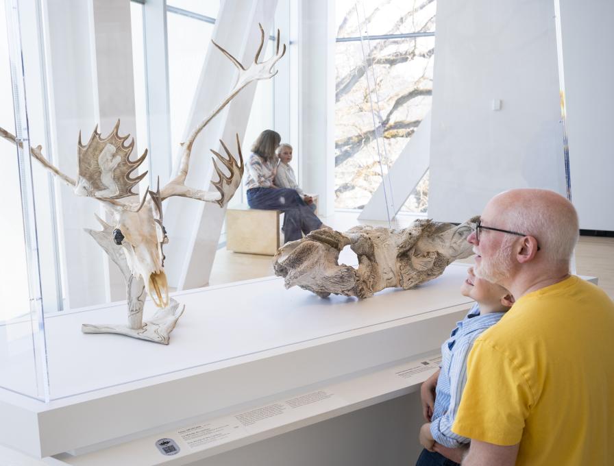 Musée national des beaux-arts du Québec - Art inuit