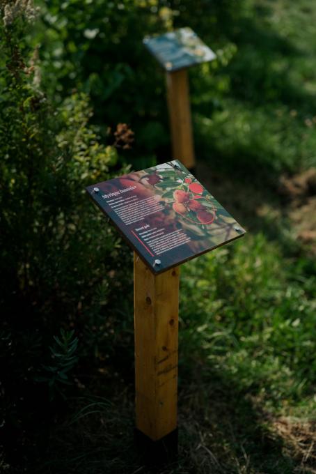 La Bio Ferme des Caps - panneau-parcours-plantes-été