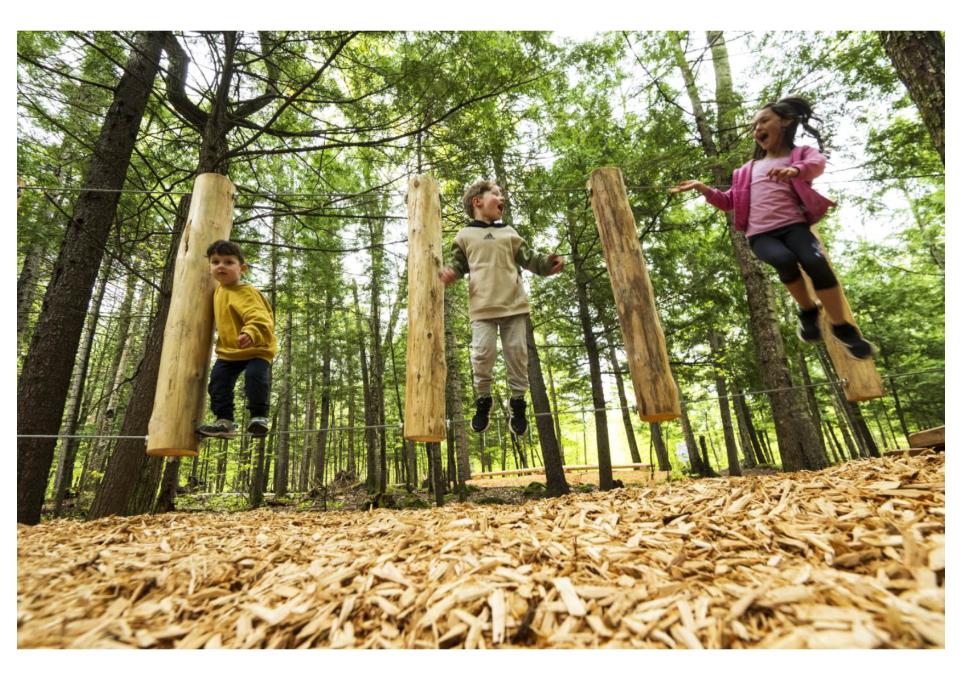 Canyon Sainte-Anne : Parc Pétraminis - 11 modules d'hébertisme