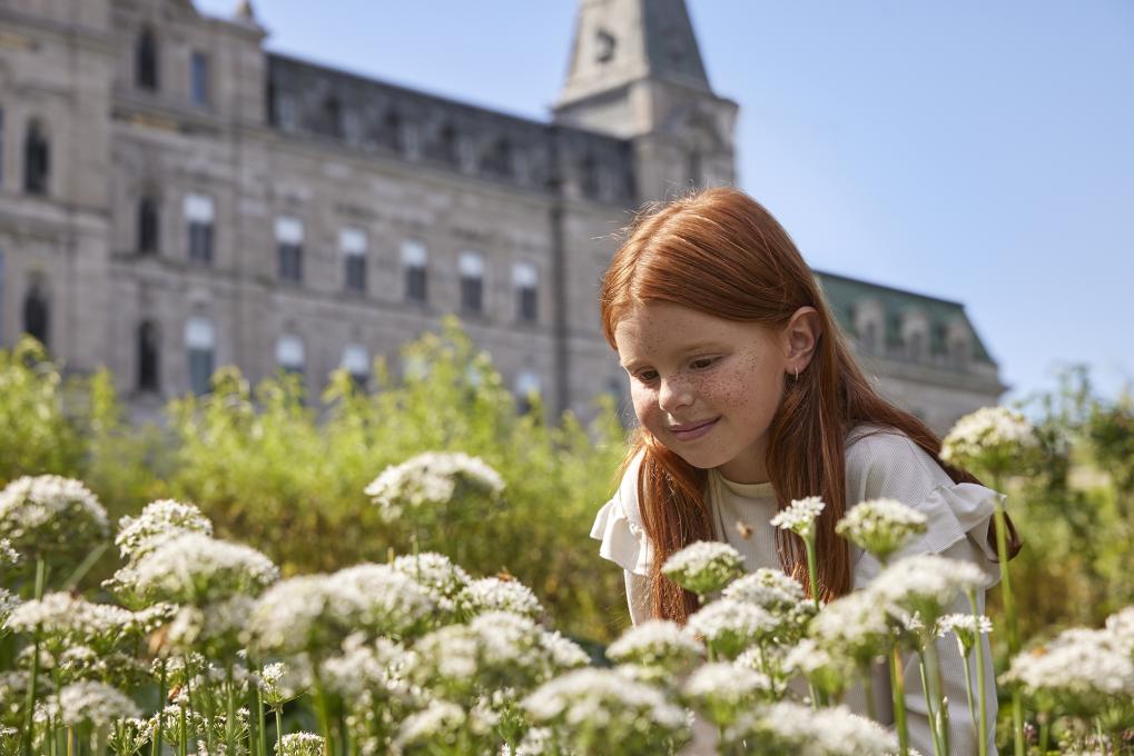 Parlement du Québec - Jardins du parlement de Québec.1