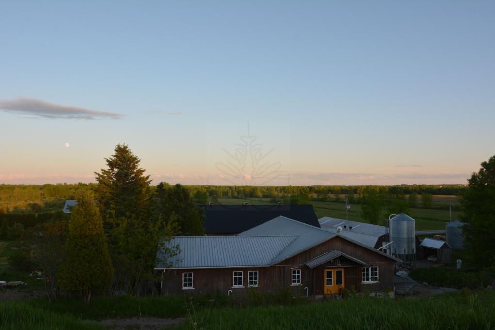Aliksir Essential Oils Made in Québec Places to shop Visit Québec