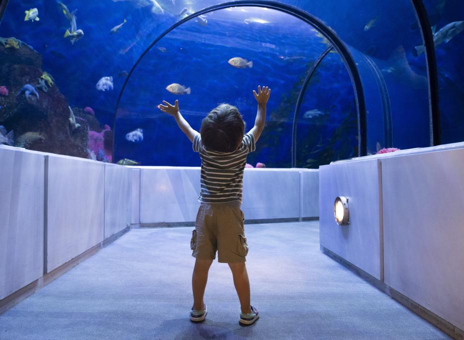 Aquarium du Québec - Grand Océan