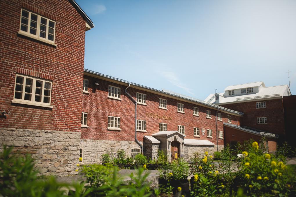 L'Îlot des Palais - Vue de l'extérieur