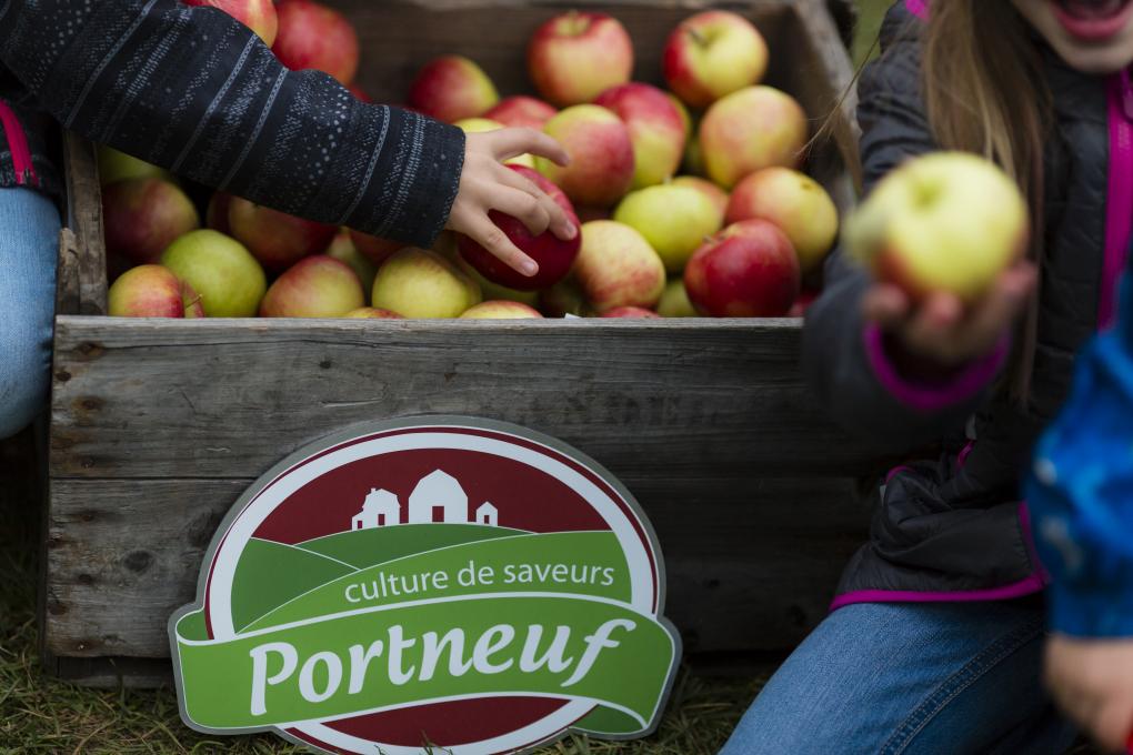 Portneuf, Culture de saveurs - Autocueillette de pommes