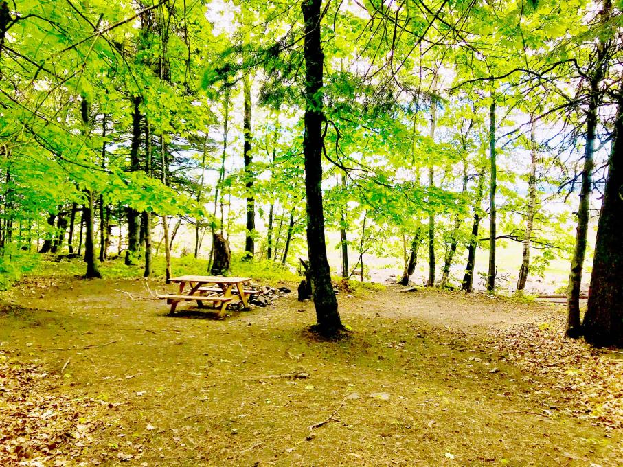 Camping de la Pointe d'Argentenay - Emplacement de camping au bord du fleuve