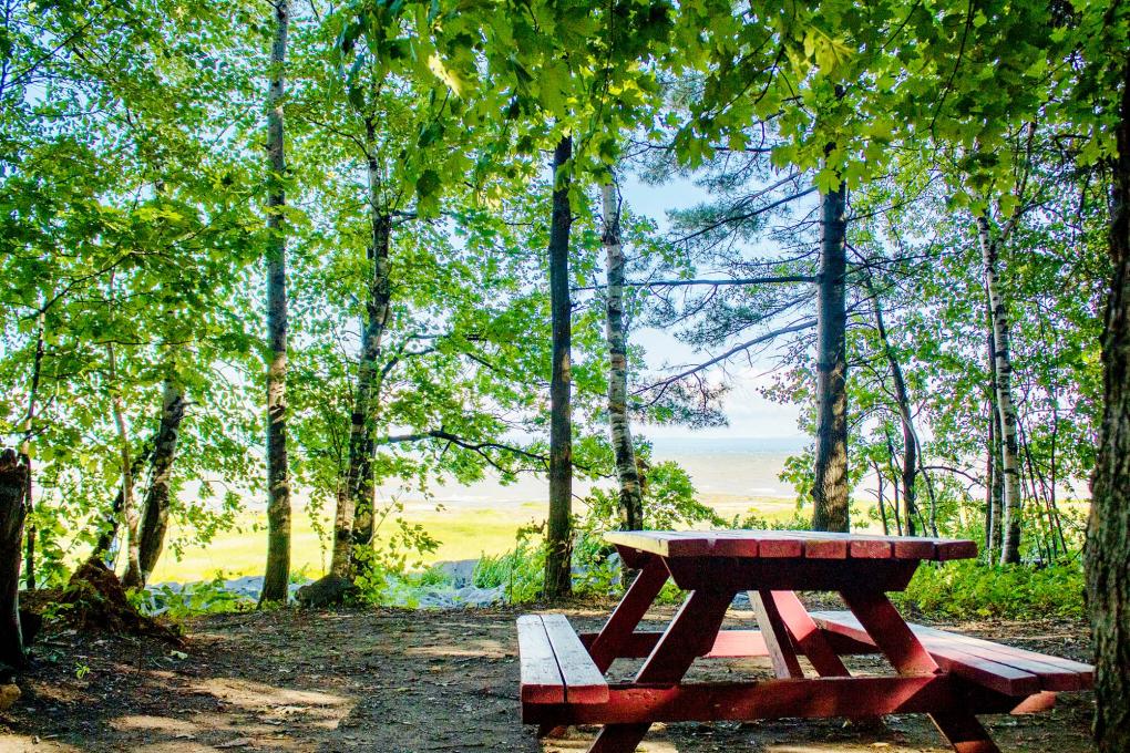 Camping de la Pointe d'Argentenay - Emplacement de camping au bord du fleuve