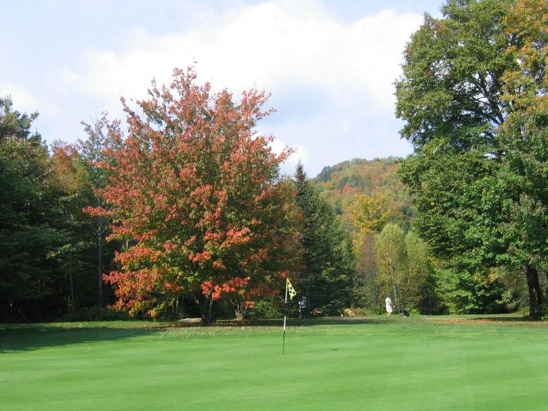 Club de golf Stoneham - Vert