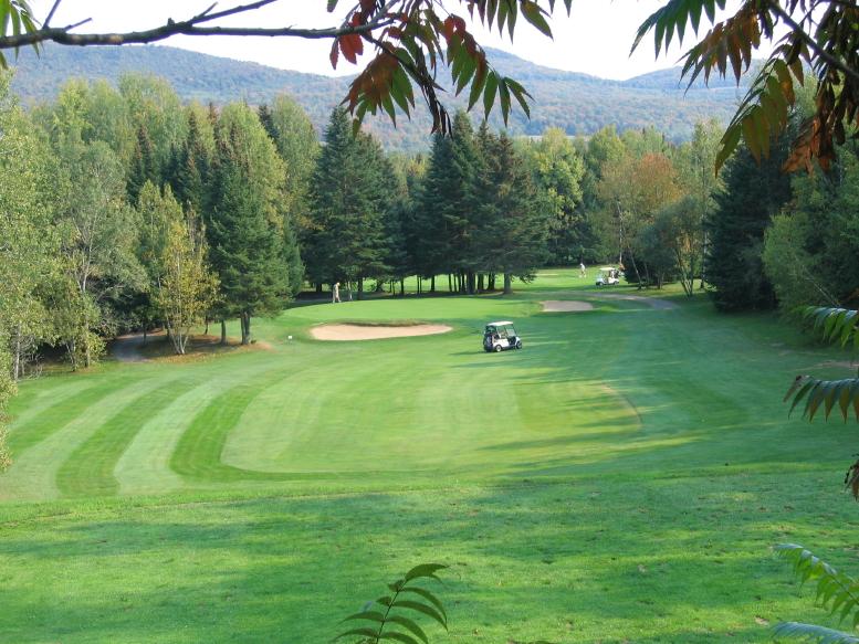 Club de golf Stoneham - Golf Cart