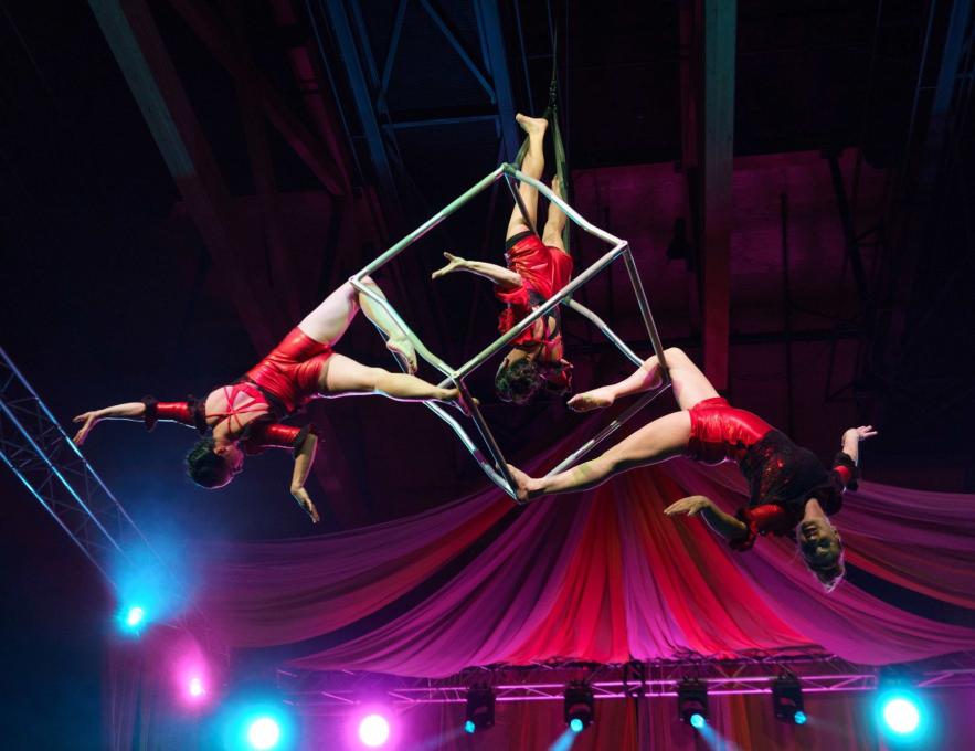 MysterAct - Artistes de cirque