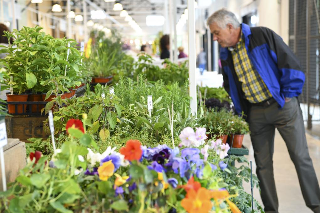 A man leans over a flower stand at the Grand Marché in Québec.