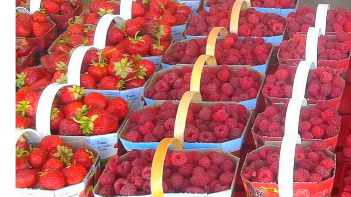 Verger Laval Gagnon - Strawberries, raspberries