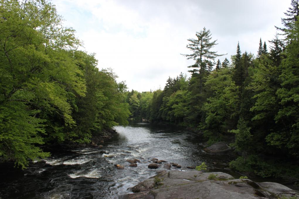 Une rivière au coeur de la forêt dans le Parc naturel régional de Portneuf.